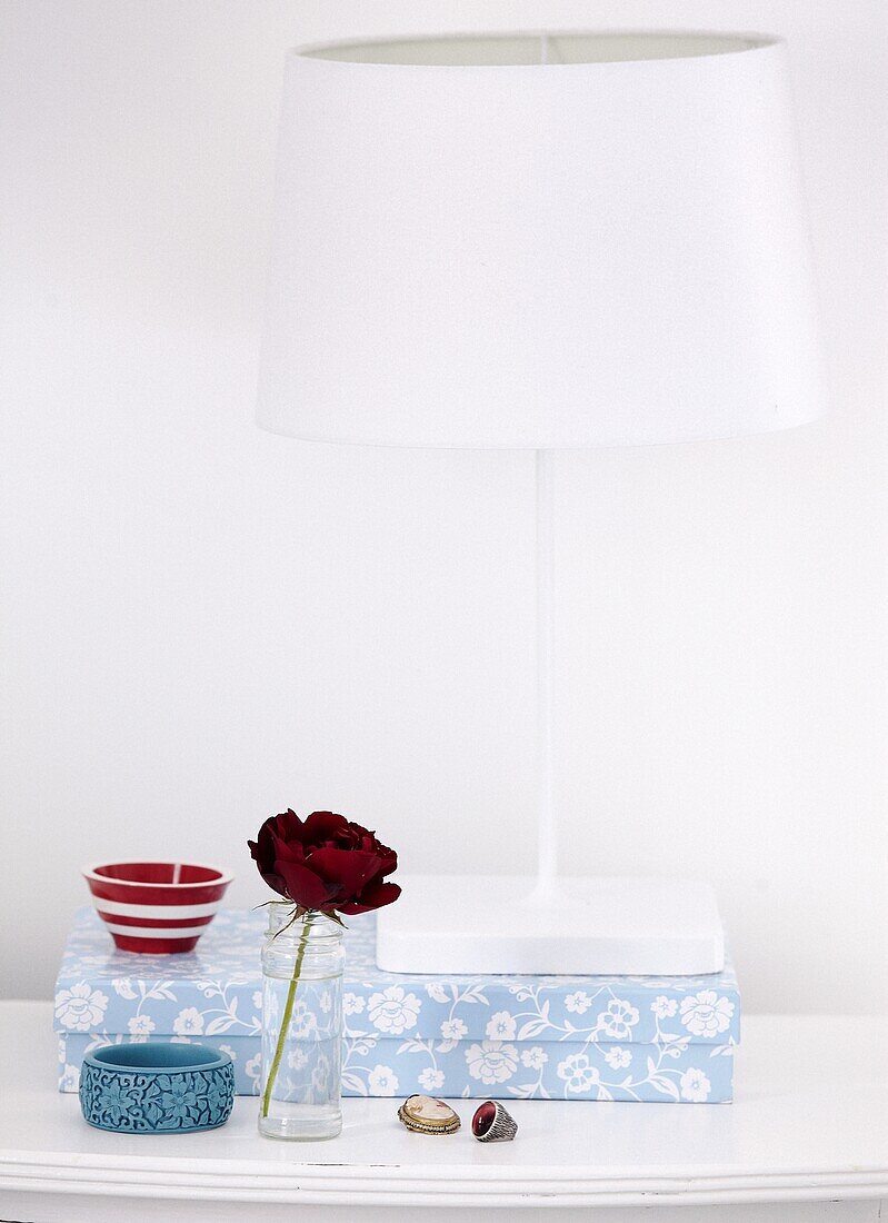 Einstämmige Rose und Blumenkasten mit Lampe in modernem Cottage in Staffordshire, England, UK