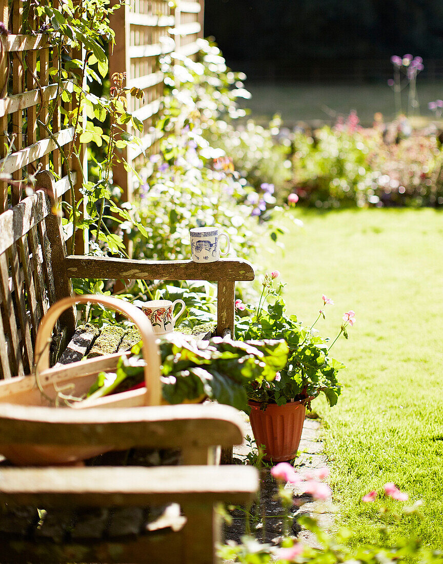 Garden trug on bench with trellis in Oxfordshire cottage garden England UK