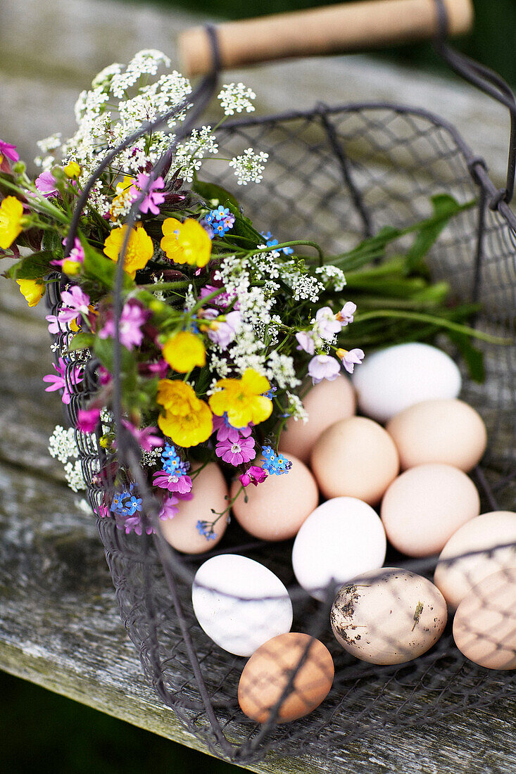 Schnittblumen und frische Eier in ländlichem Farmland in Derbyshire England UK