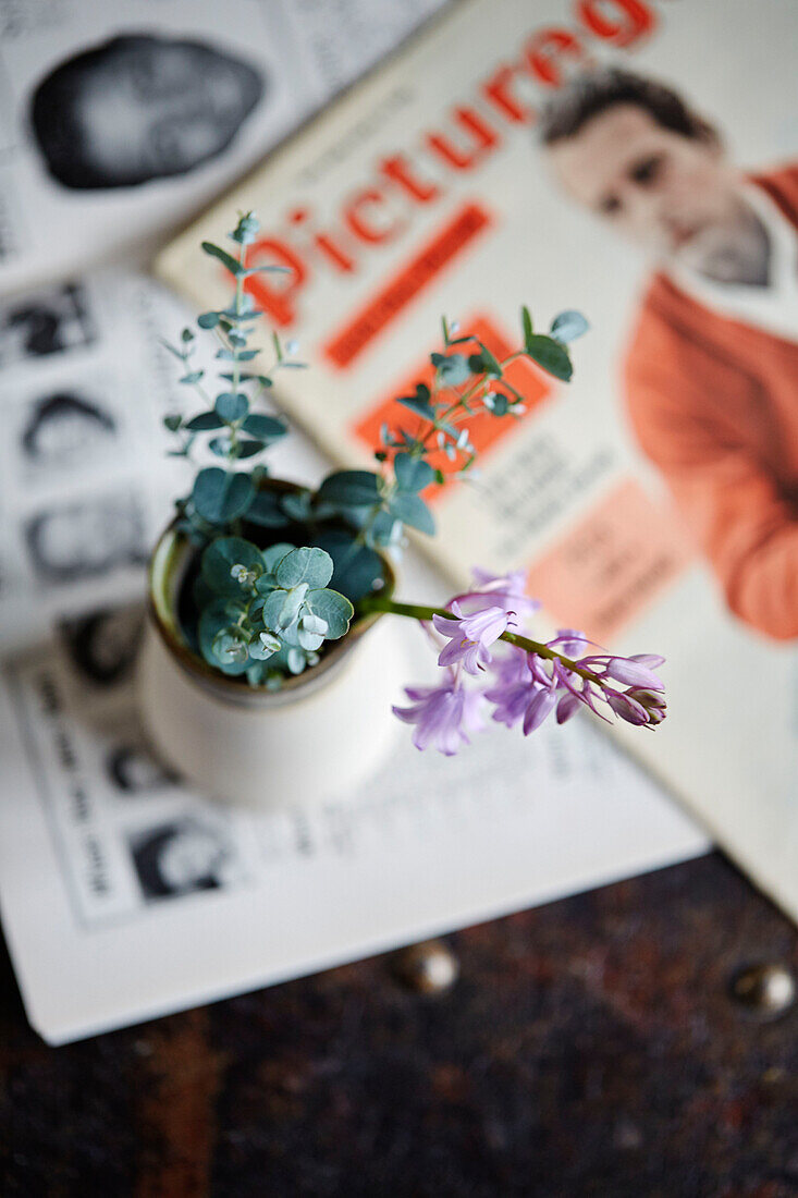 Schnittblumen und Zeitschriften in einem Haus in Kent England UK