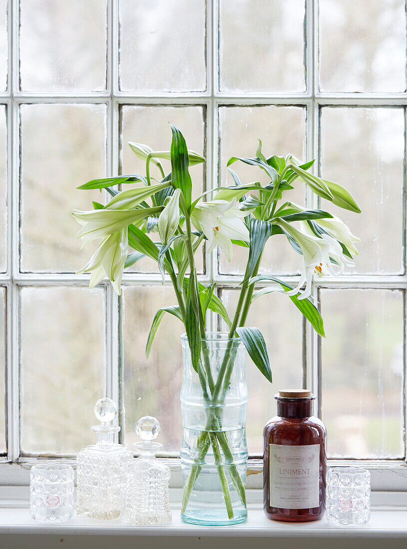 Lilien und Medizinflaschen mit Karaffen auf der Fensterbank in einem Haus in der Grafschaft Durham England UK