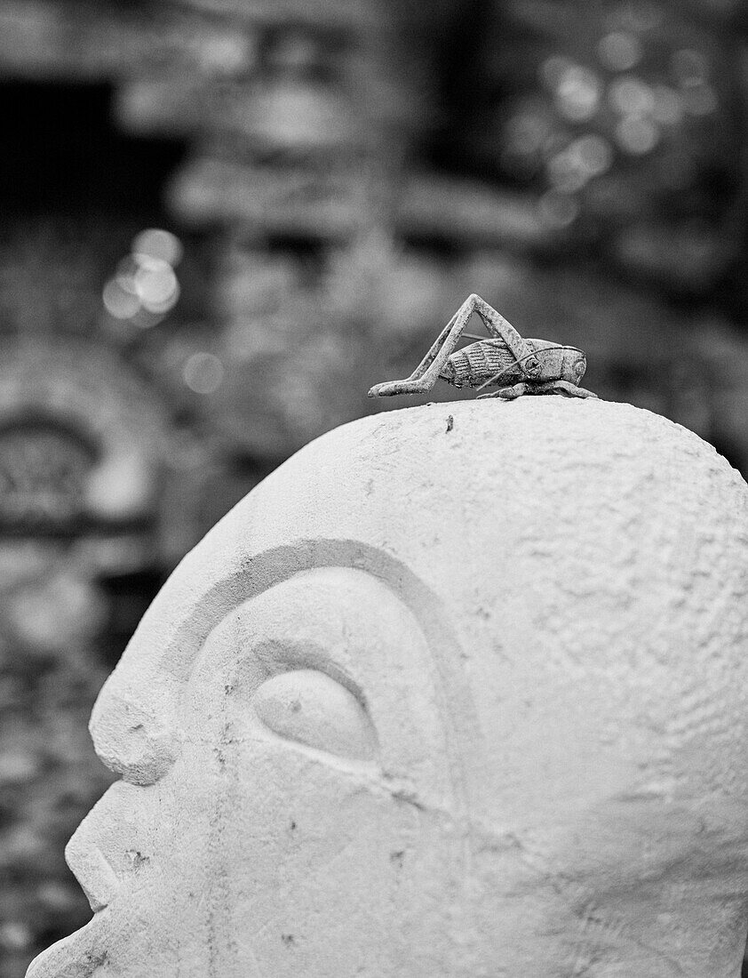 Metal insect on carved stone head in Herefordshire garden, UK