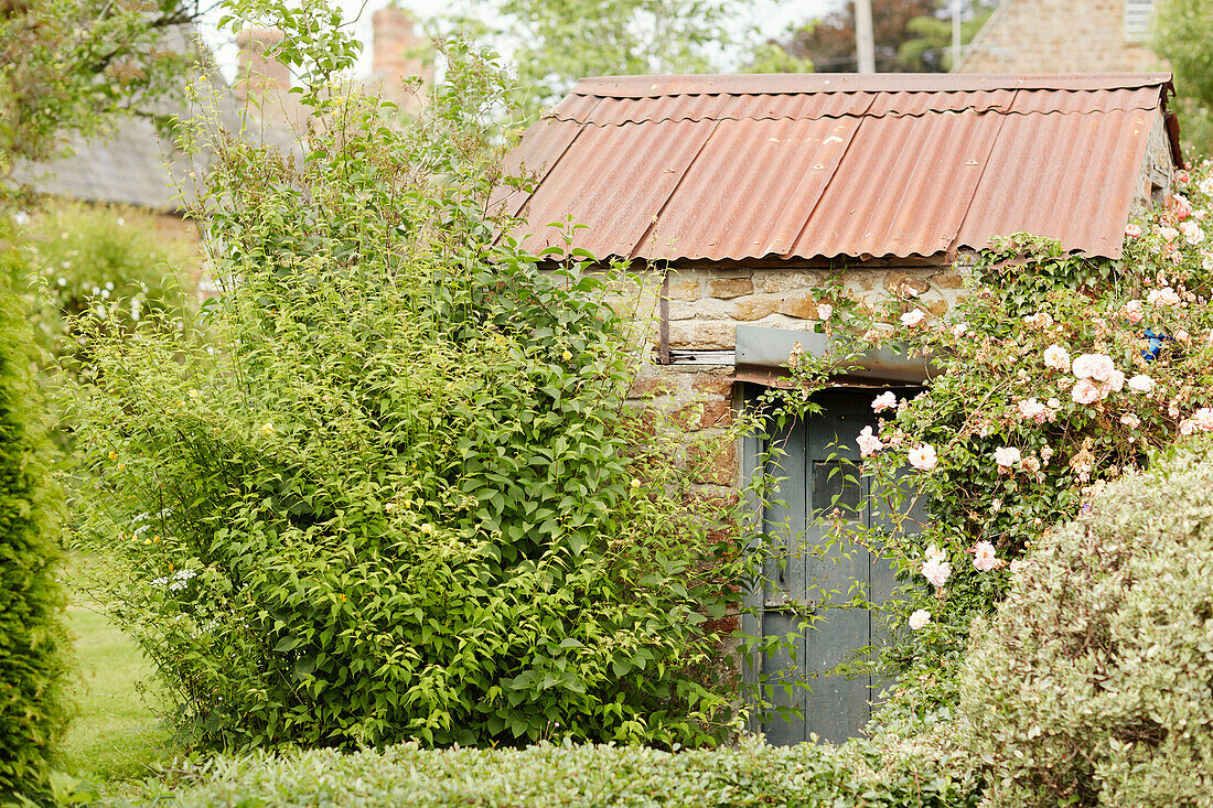 Überwachsener Eingang eines Gartenhauses in Oxfordshire, England, UK