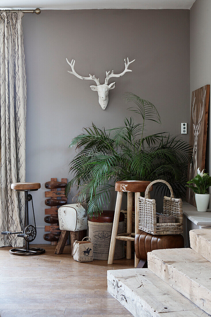 Wall mounted deers head above houseplant and vintage leather stools in Northumberland farmhouse, UK