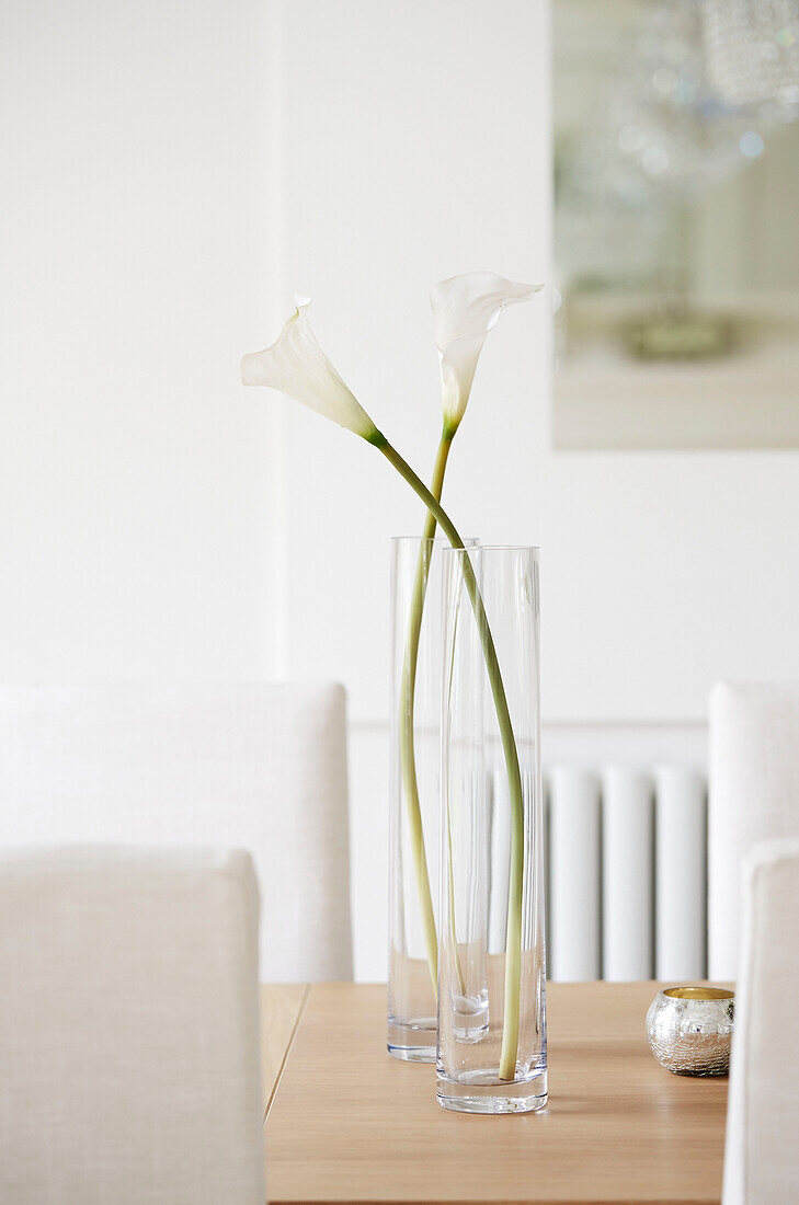 Two calla lilies in glass vases on table in York home, UK