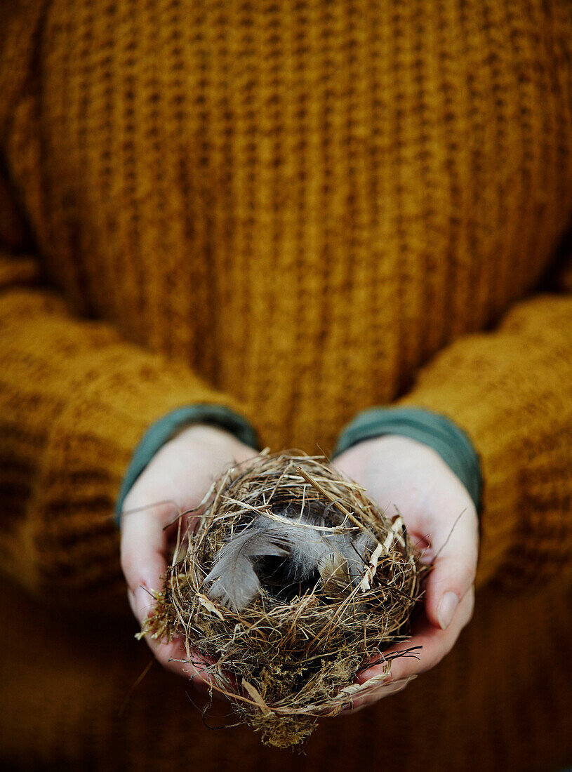 Mid section of artist holding birds nest in Gladestry on South Wales borders