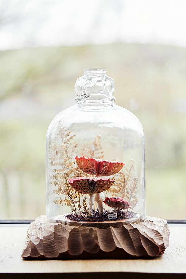 Toadstools under bell jar on windowsill of Gladestry cottage on South Wales borders