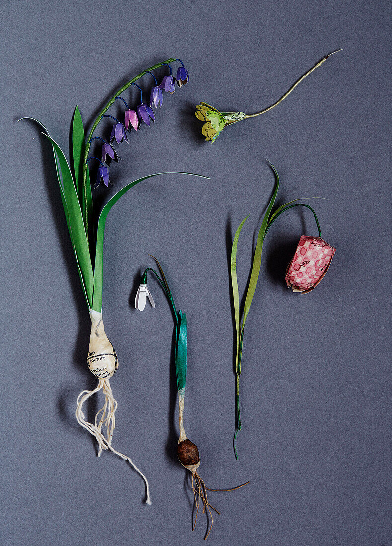Sammlung von handgefertigte Papierblumen in einem Atelier in Gladestry an der Grenze zu Südwales