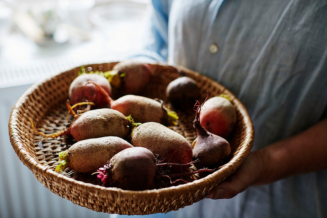 Man holding basket of root vegetables at Old Lands kitchen garden Monmouthshire, UK