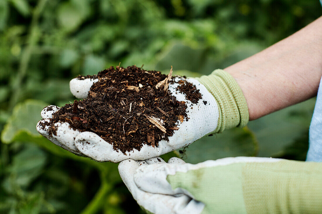 Eine Handvoll Kompost und Gartenhandschuhe