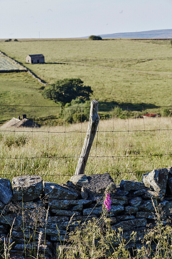 Zaun und Trockenmauer in der Landschaft von Yorkshire, UK