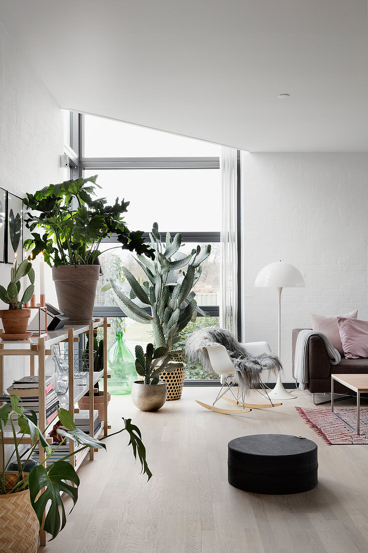 Zimmerpflanzen im modernen Wohnzimmer mit Eckfenster