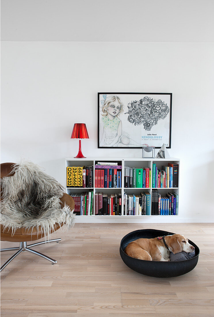 Hund im Körbchen und Ledersessel mit Fell vorm Bücherregal