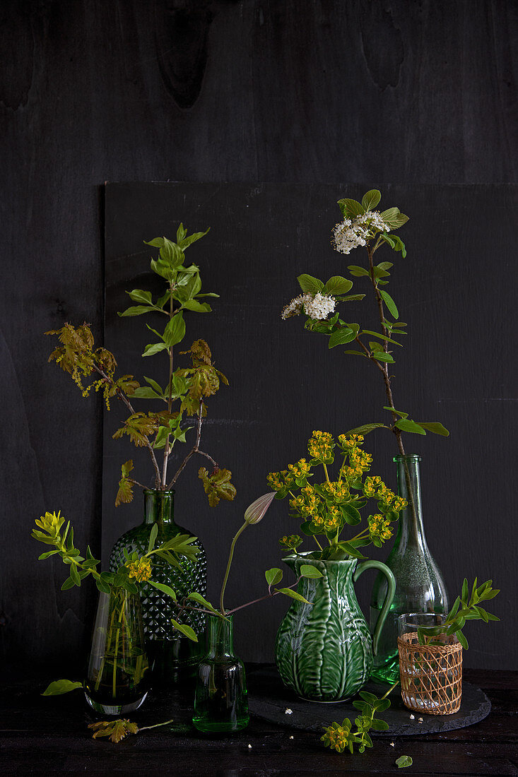 Einzelne Blütenzweige in Vasen (Zypressenwolfsmilch, Eichenzweig, Roter Hartriegel, Clematis)