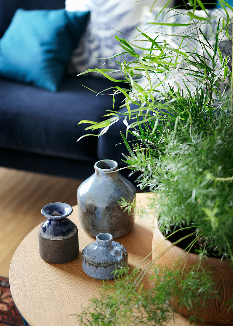 Stoneware vases and houseplant on coffee table