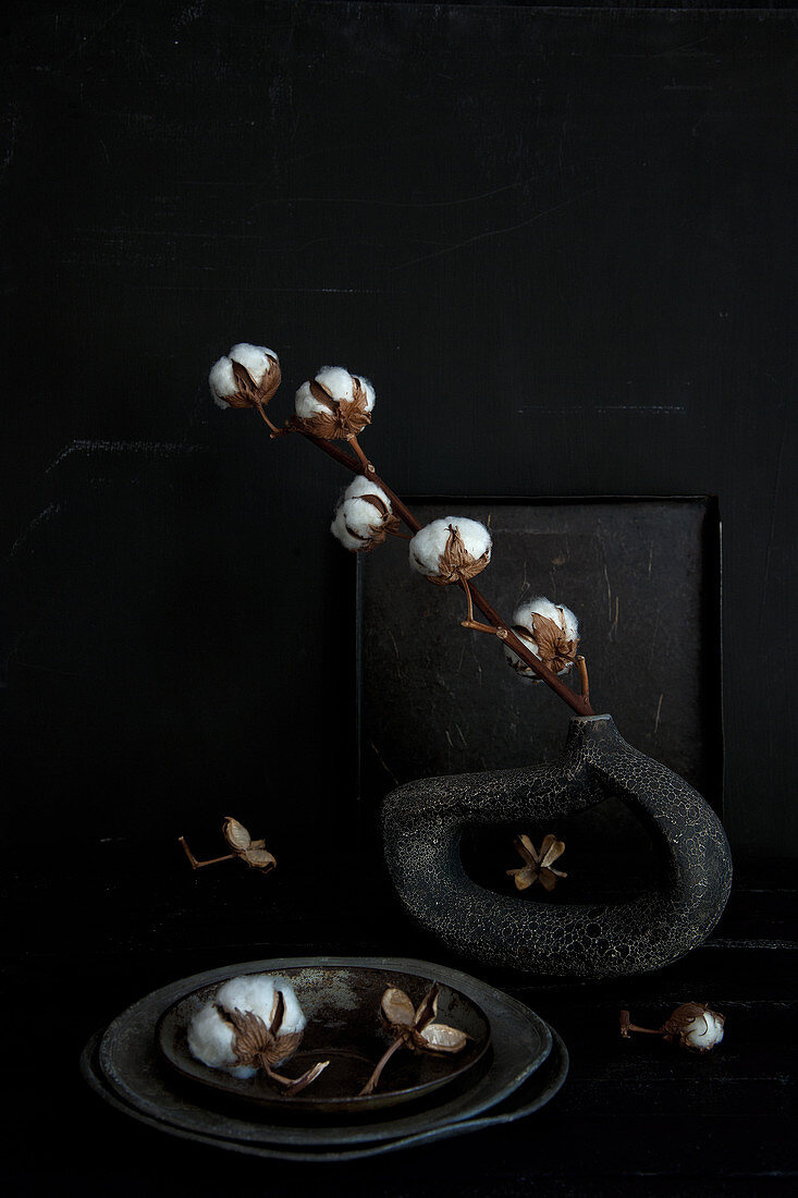 Black, still-life arrangement with stem of cotton bolls in abstract vase