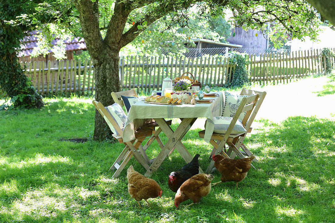 Table set for Easter meal in garden with hens in foreground