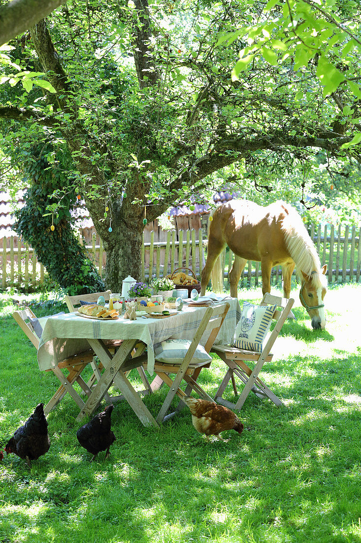 Gedeckter Ostertisch im Garten mit Hühnern und Pferd