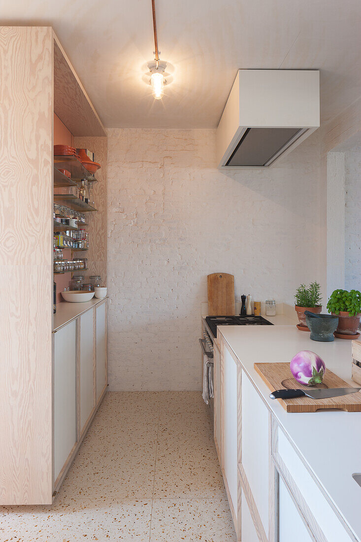 Small kitchen with white cabinets and terrazzo flooring