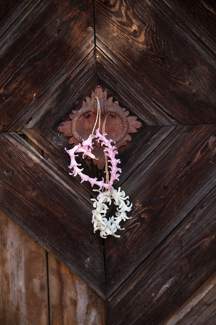 Wreaths of hyacinth florets decorating door