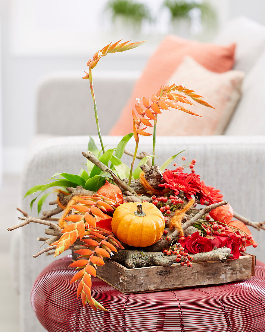 Herbstliches Gesteck mit Kürbis, Rosen, Gerbera, Hagebutten, Lampionfrüchten, Ästen und Bromelie