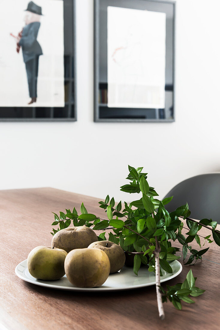 Obstteller und Blätterzweig auf Esstisch mit Mahagoni-Platte