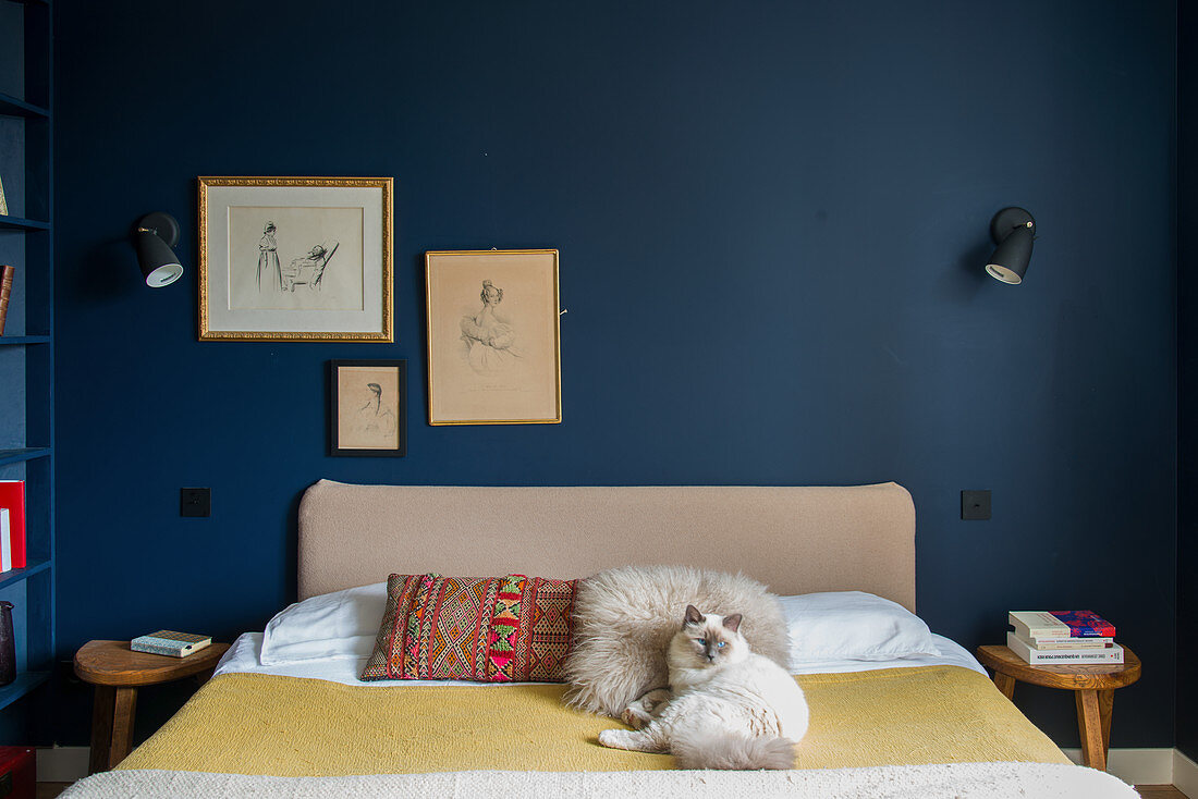Cat on double bed in bedroom with dark petrol-blue walls