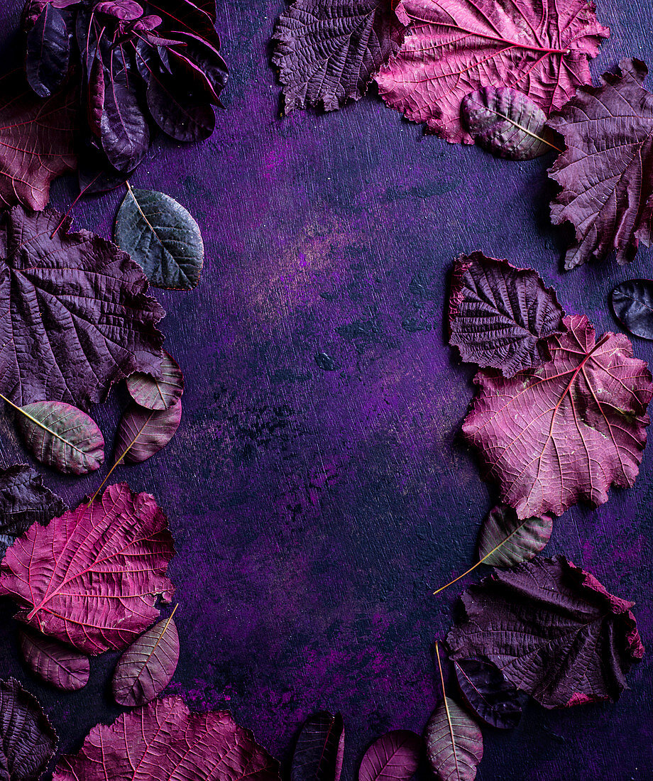 Rahmen aus violetten Blättern auf lila Untergrund