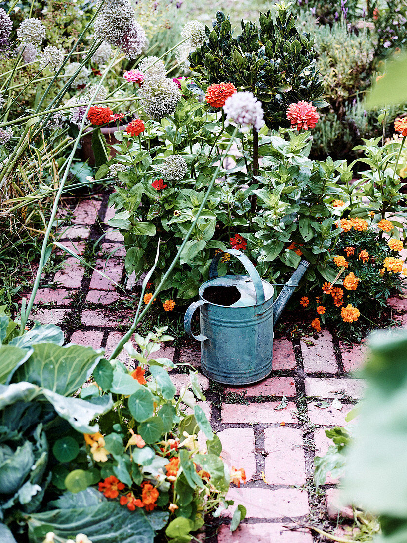 Garden with vegetables and flowers, watering can on garden path