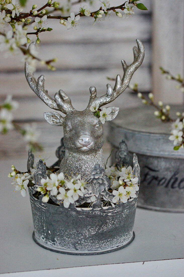 Silver stag's head and blackthorn blossom in metal tub