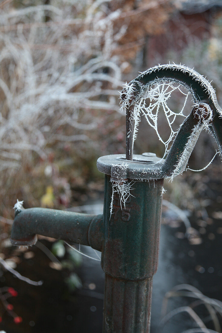 Gefrorenes Spinnennetz an Schwengelpumpe im Garten