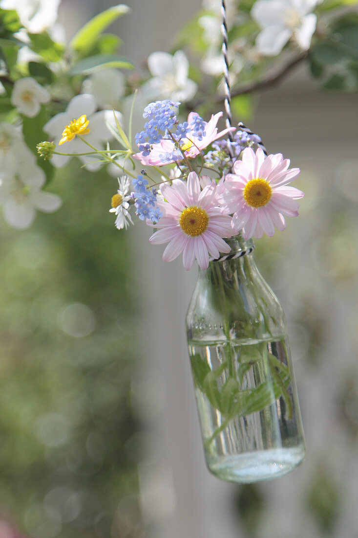 Bouquet with daisies, Blue-eyed-mary, and buttercups hung in a bottle