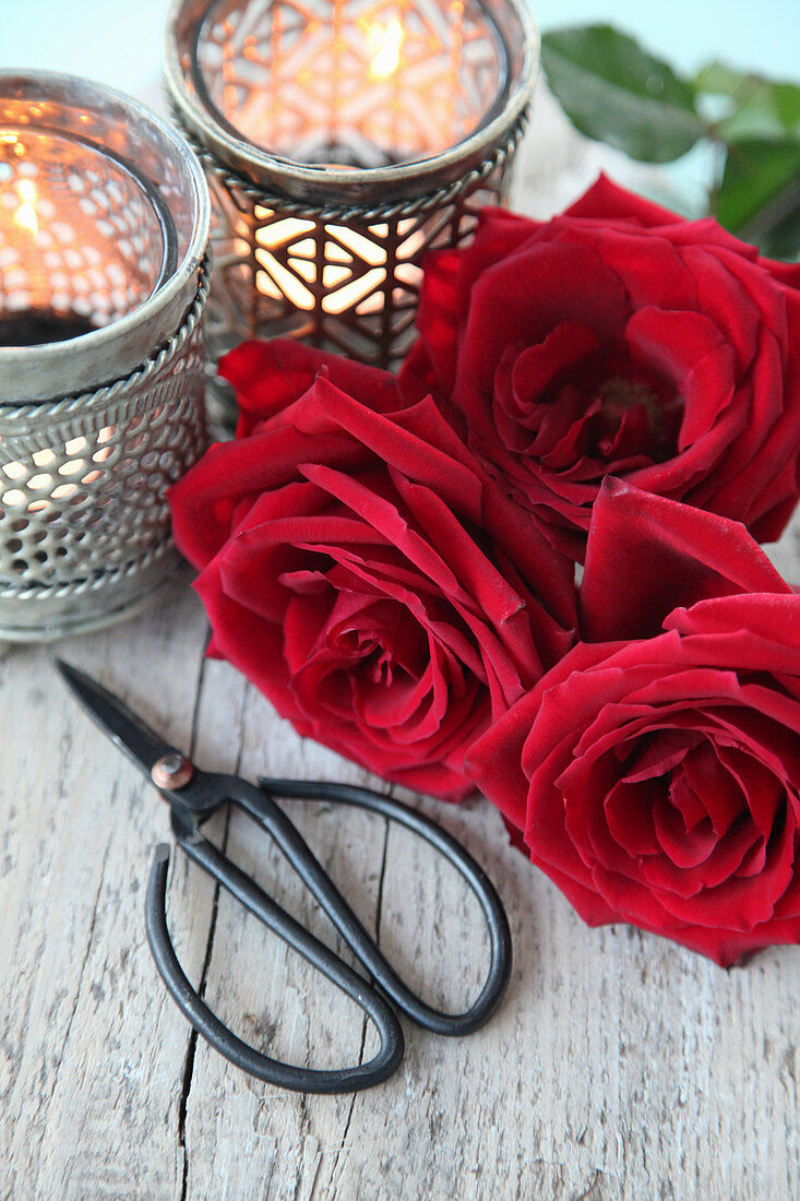 Red roses, scissors and tealights