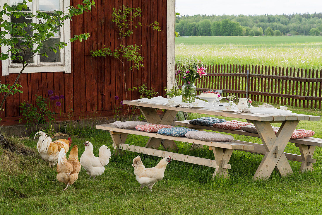 Tisch mit Bänken und Hühner auf der Wiese im Garten