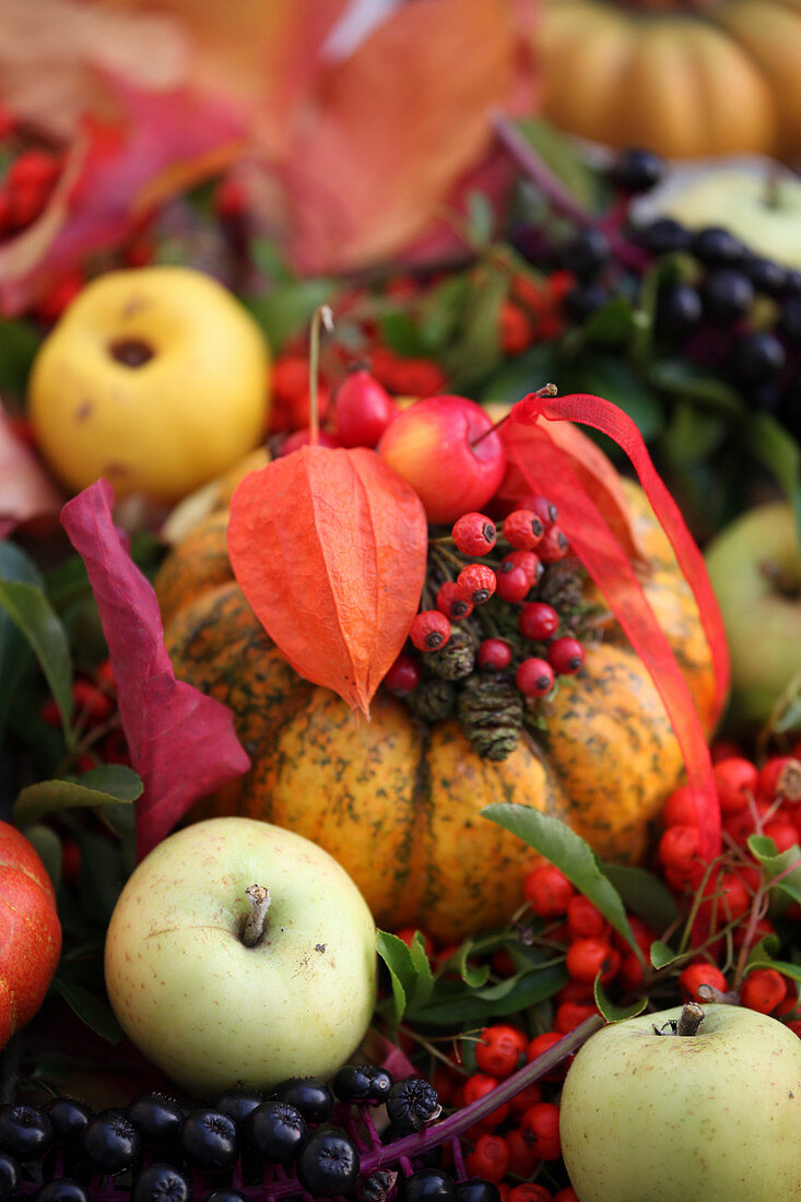 Autumn arrangement of pumpkin, apples, rowan berries and physalis seed pod