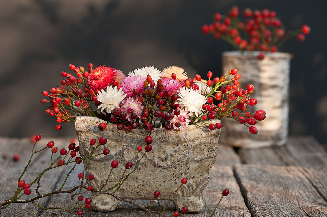 Arrangement of rose hips and everlasting flowers
