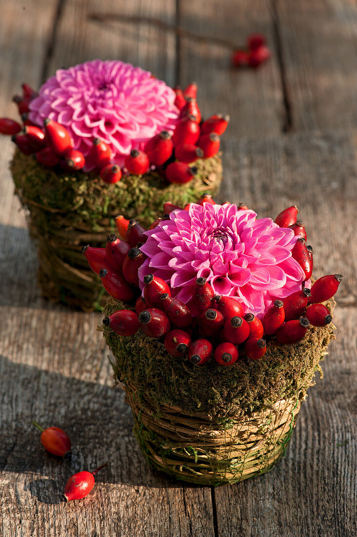 Small flower arrangements with dahlias and rosehips in moss
