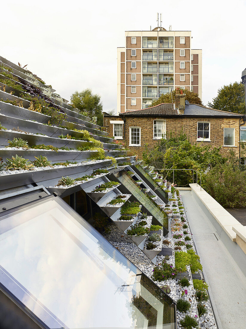 Blick über terrassierten Dachgarten
