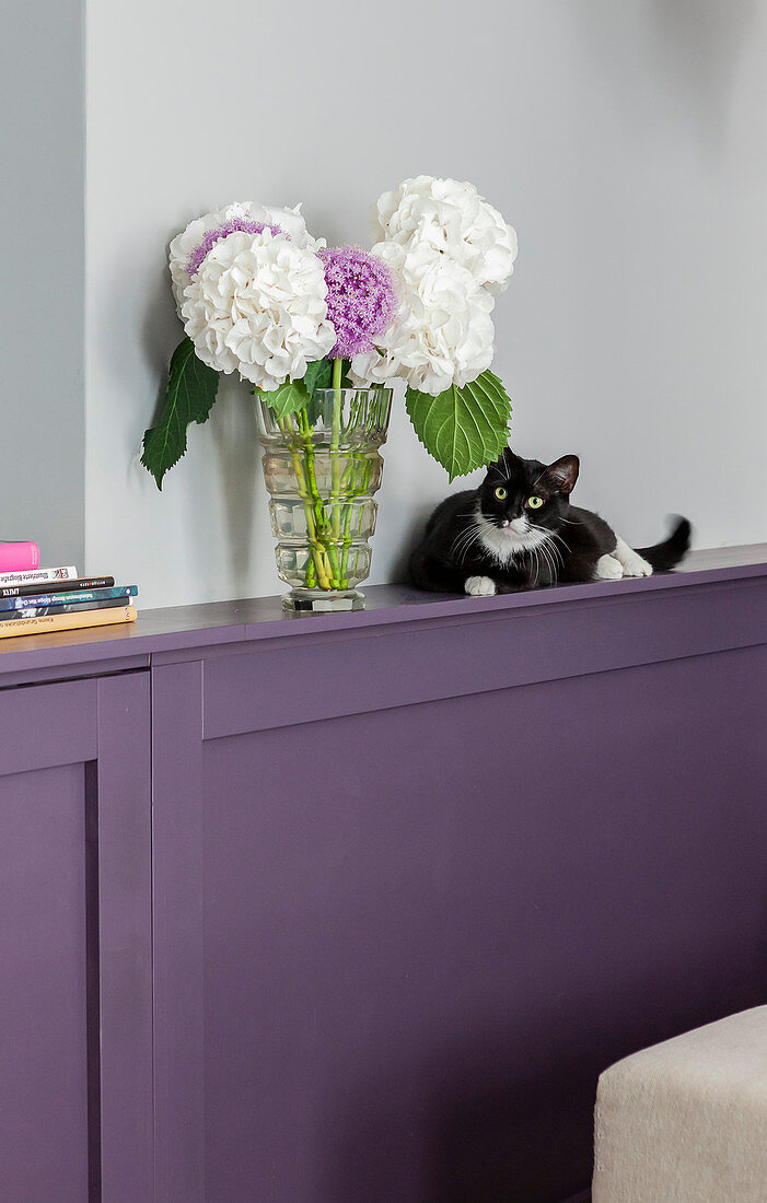 Hortensienstrauß und Katze auf lila gestrichener Wandverkleidung