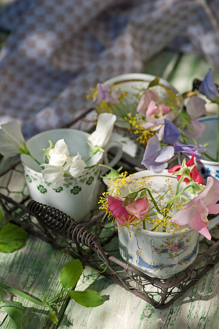 Kleine Tassen mit Duftwicken und Dill-Blüten