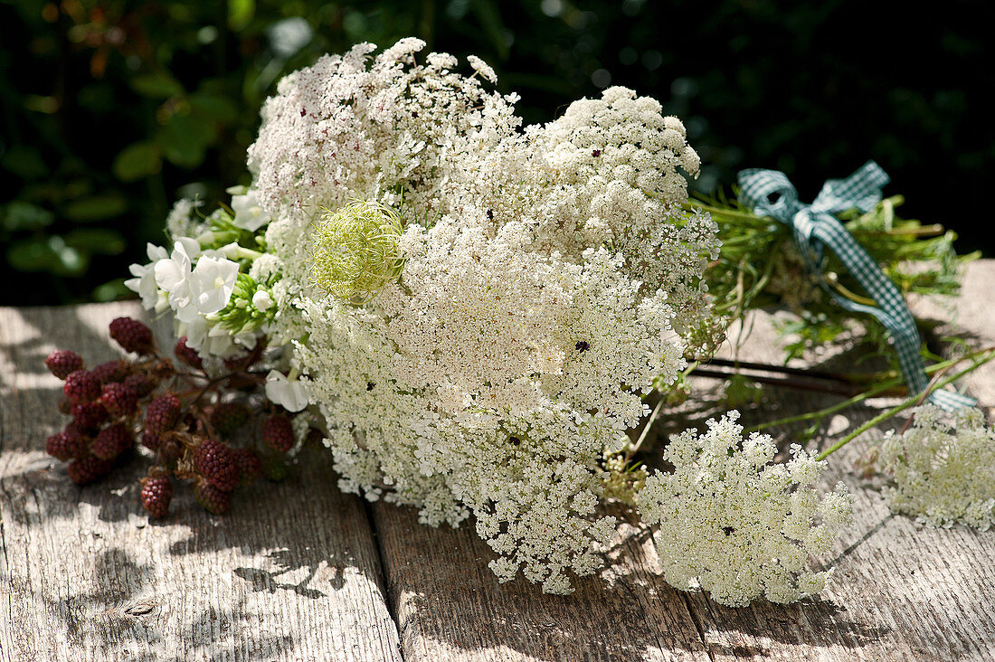 Strauß aus wilder Möhre, Phlox und unreifen Brombeeren