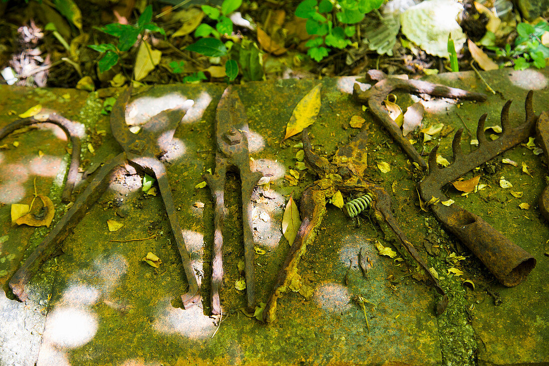 Vintage Gartenwerkzeuge auf bemoostem Stein