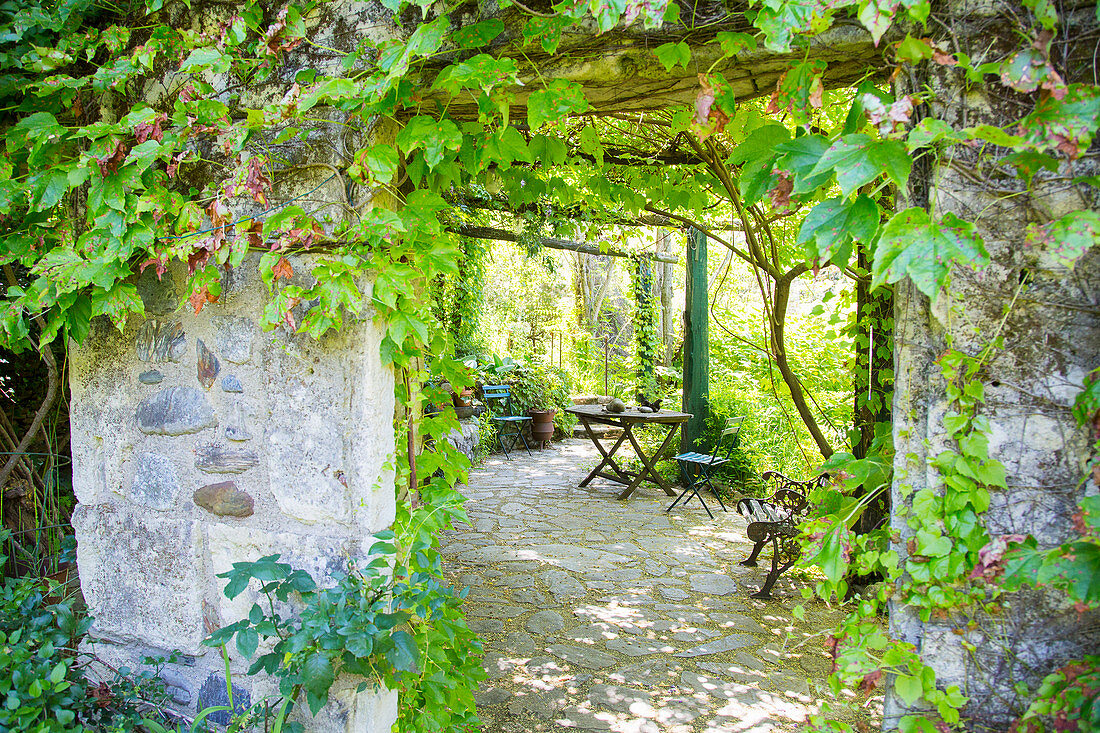Zwei Natursteinsäulen mit Wildem Wein auf mediterrane Terrasse