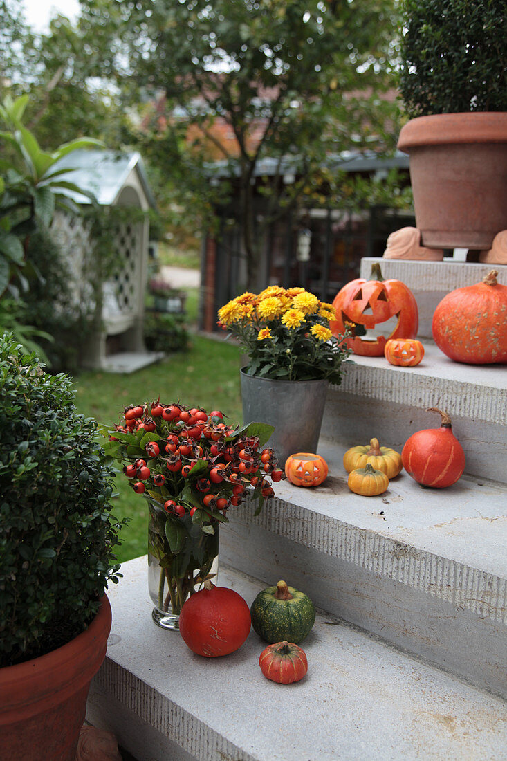 Steps decorated for autumn with pumpkins, chrysanthemums and bouquet of rose hips