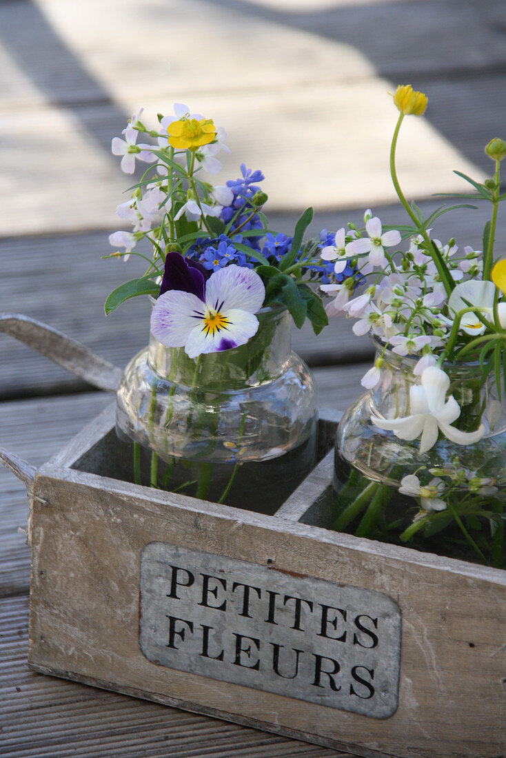Small spring bouquets with horned violets, forget-me-nots, cuckoo flower, and buttercups