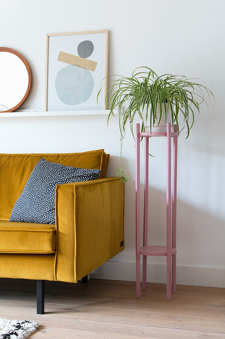 Grünlilie auf rosafarbenem Pflanzenständer neben gelbem Sofa