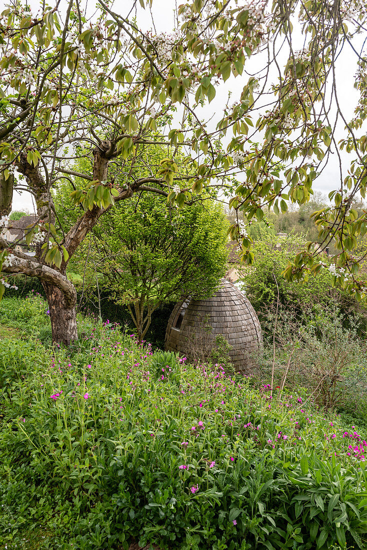 Garten mit Hanglage, im Hintergrund Bungalow