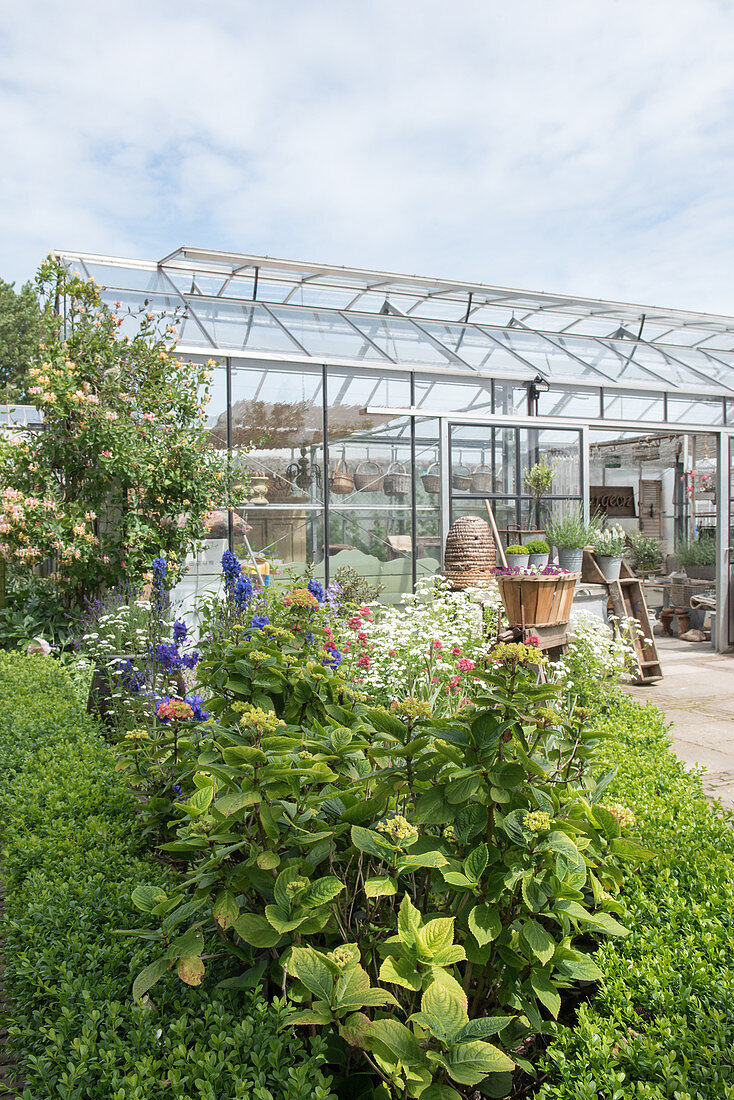 A sunny garden with a green house