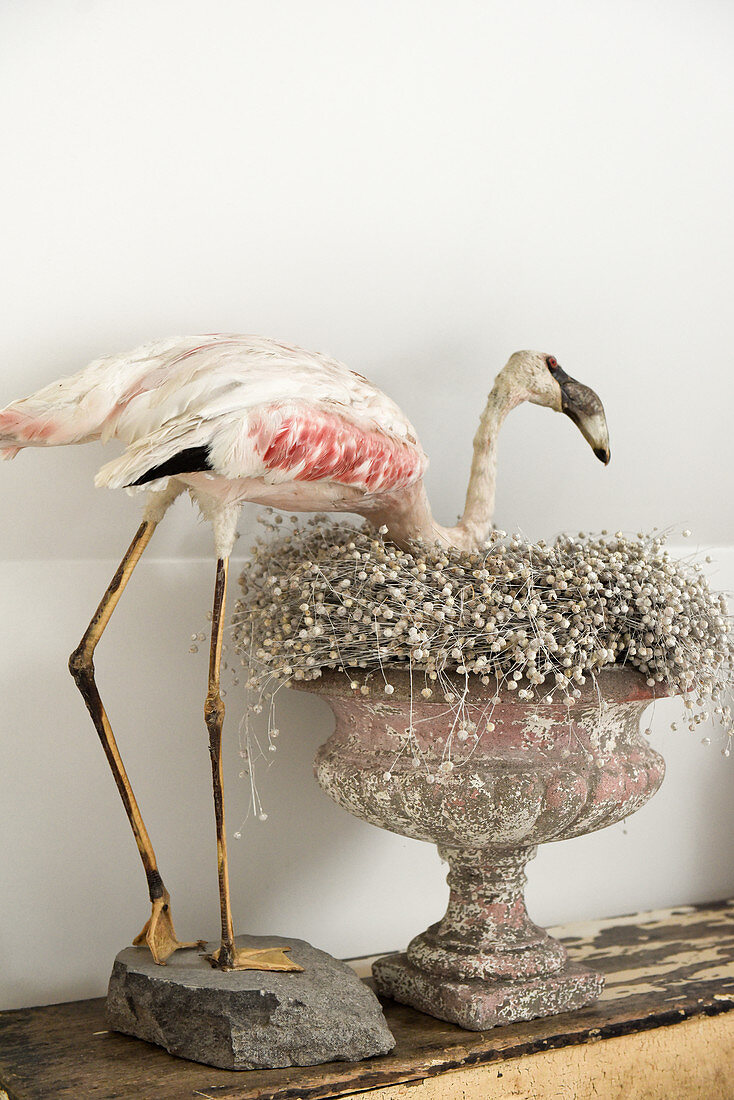 Ausgestopfter Flamingo und antiker Pokal