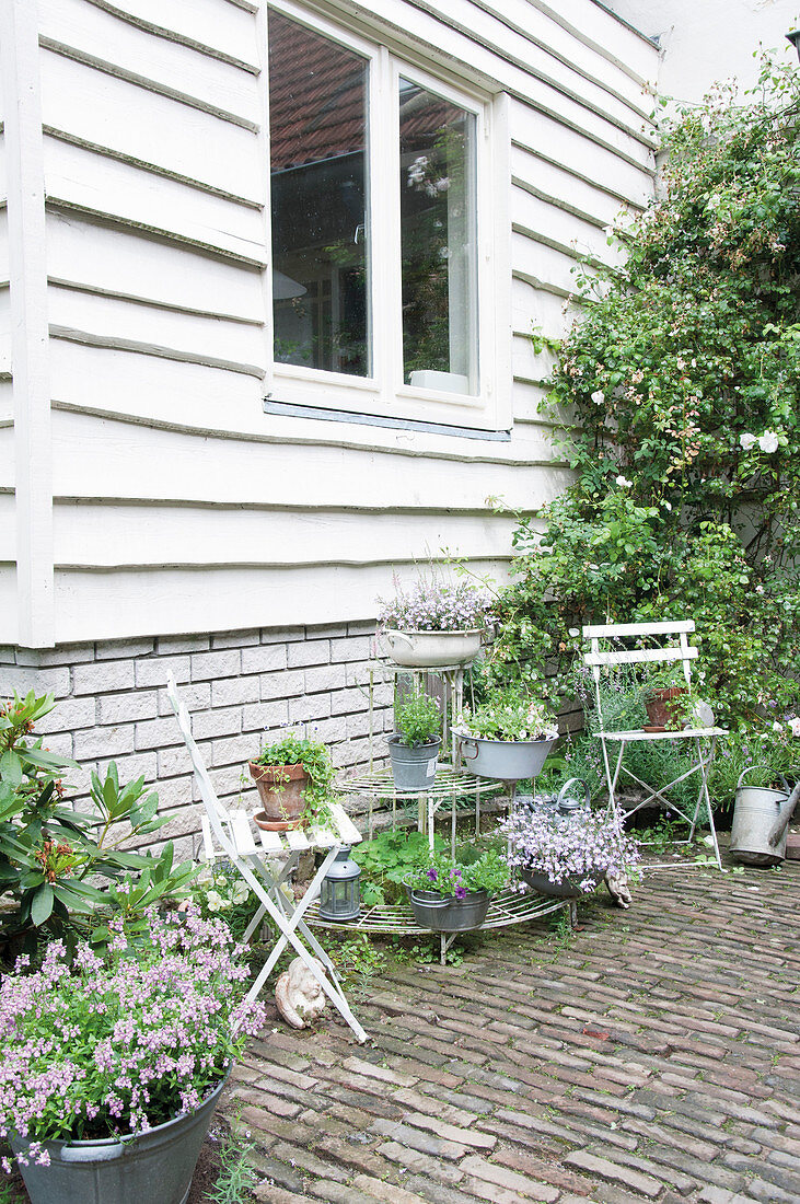 Pflanzenständer und Stühle auf der Terrasse